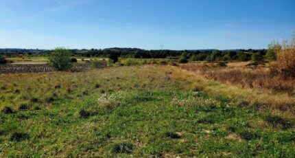 Loupian Maison neuve - 2442234-11177annonce120260226eXvRk.jpeg Oc Résidences