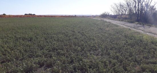 Terrain à bâtir à Rieux-Minervois, Occitanie