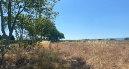 Olonzac Terrain à bâtir - 2362238-11177annonce220251209pJB73.jpeg Oc Résidences