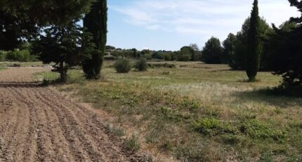 Saint-Pargoire Terrain à bâtir - 2362407-11177annonce220251209Dyf46.jpeg Oc Résidences