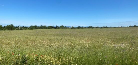 Terrain à bâtir à , Hérault
