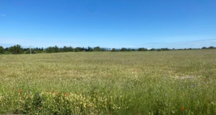 Bessan Maison neuve - 2361096-11177annonce220251208U3Skc.jpeg Oc Résidences