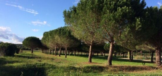 Terrain à bâtir à , Hérault