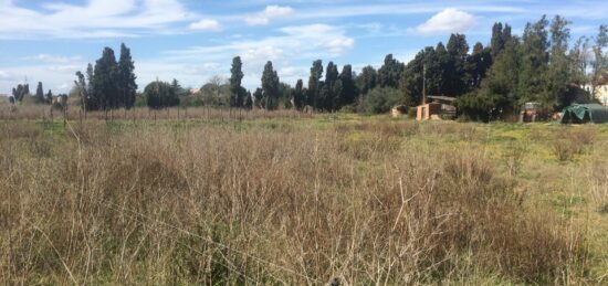 Terrain à bâtir à Ornaisons, Occitanie