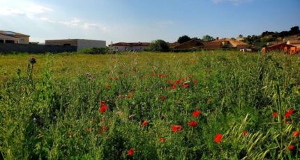 Lespignan Maison neuve - 2385903-11177annonce1202601083EV86.jpeg Oc Résidences