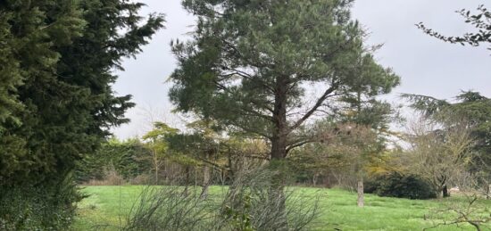 Terrain à bâtir à Villeneuve-la-Comptal, Occitanie