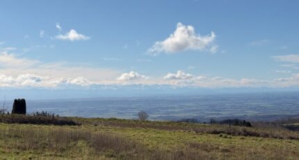 Les Brunels Maison neuve - 2418319-3185annonce120260204KNsLl.jpeg Oc Résidences