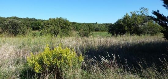 Terrain à bâtir à Montagnac, Occitanie