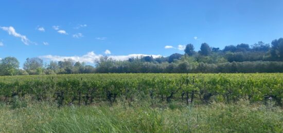 Terrain à bâtir à , Aude
