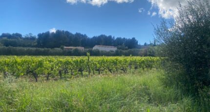 Ginestas Maison neuve - 2425472-11177annonce220260211UxZsa.jpeg Oc Résidences