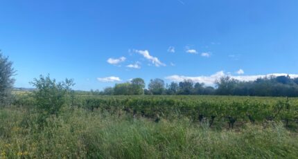 Ginestas Maison neuve - 2425458-11177annonce120260211noRxC.jpeg Oc Résidences