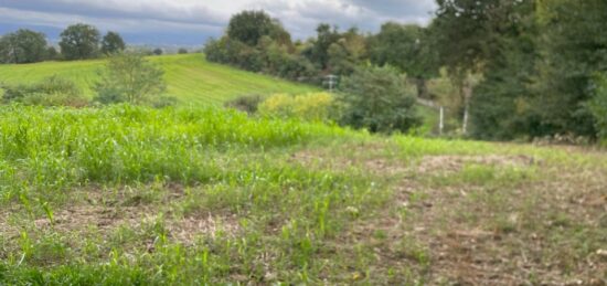 Terrain à bâtir à , Tarn