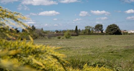 Sauvian Maison neuve - 2451237-11177annonce120260309QaZBm.jpeg Oc Résidences