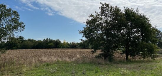 Terrain à bâtir à Cadalen, Occitanie