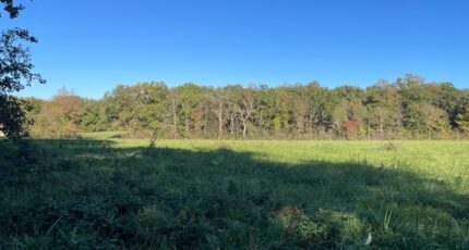 Fontenilles Terrain à bâtir - 2455674-9431annonce220260312bxWuk.jpeg Oc Résidences