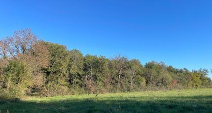 Fontenilles Maison neuve - 2455679-9431annonce320260312HsqTE.jpeg Oc Résidences