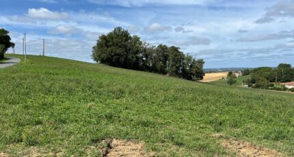 Carlus Maison neuve - 2392091-3177annonce120250916UnlZd.jpeg Oc Résidences