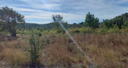 Azille Terrain à bâtir - 2563395-11177annonce220260624Occ9n.jpeg Oc Résidences