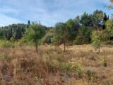 Maison à construire à Azille (11700) 2563403-11177annonce120260624ATWsk.jpeg Oc Résidences
