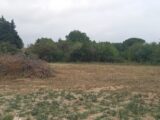 Terrain à bâtir à Ornaisons (11200) 2586259-11177annonce220260720TS7rp.jpeg Oc Résidences