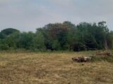 Maison à construire à Embres-et-Castelmaure (11360) 2586297-11177annonce120260720dGVBB.jpeg Oc Résidences