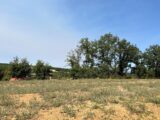 Maison à construire à Rouffiac (81150) 2588994-3177annonce120260723I9fqm.jpeg Oc Résidences