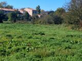 Terrain à bâtir à Valdurenque (81090) 2596343-4583annonce120260805ro5IH.jpeg Oc Résidences