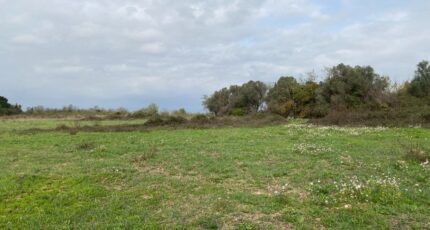 Salles-d'Aude Terrain à bâtir - 2604201-11177annonce120260818rbwBe.jpeg Oc Résidences