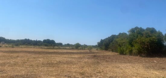 Terrain à bâtir à Salles-d'Aude, Occitanie