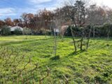 Maison à construire à Revel (31250) 2604990-3185annonce120260820lyFOg.jpeg Oc Résidences