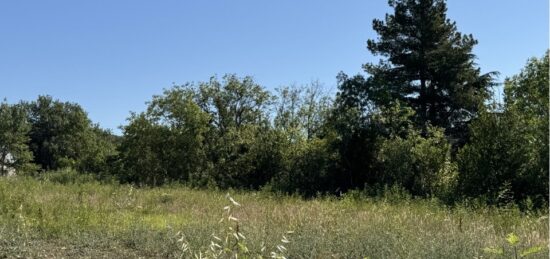 Terrain à bâtir à Villespy, Occitanie