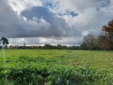 Maison à construire à Gaillac (81600) 2608449-3177annonce120260824Q630s.jpeg Oc Résidences