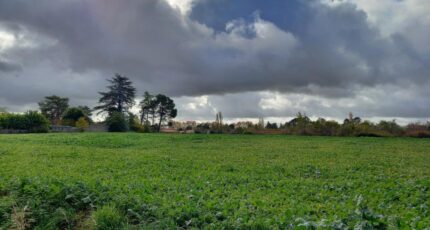 Gaillac Maison neuve - 2608457-3177annonce120260824Ta8OD.jpeg Oc Résidences