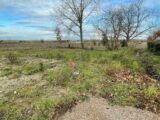 Maison à construire à Lavaur (81500) 2608496-3177annonce120260824Vg1qs.jpeg Oc Résidences
