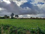 Maison à construire à Gaillac (81600) 2608456-3177annonce120260824Ta8OD.jpeg Oc Résidences