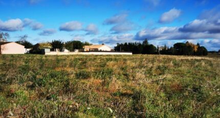 Gaillac Maison neuve - 2608423-3177annonce12026082438wRp.jpeg Oc Résidences