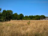 Maison à construire à Labastide-Saint-Georges (81500) 2594407-3177annonce120260730axASx.jpeg Oc Résidences