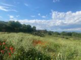 Terrain à bâtir à Boutenac (11200) 2600387-11177annonce220260811BfcvJ.jpeg Oc Résidences