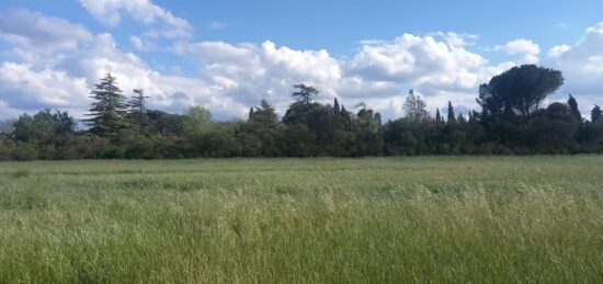 Terrain à bâtir à , Aude