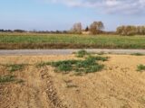 Maison à construire à Canet (11200) 2626984-11177annonce120260909whWF4.jpeg Oc Résidences