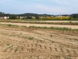 Terrain à bâtir à Lézignan-Corbières (11200) 2629305-11177annonce120260911ct5Iz.jpeg Oc Résidences