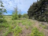 Terrain à bâtir à La Cassaigne (11270) 2630173-3185annonce120260911g3bZQ.jpeg Oc Résidences
