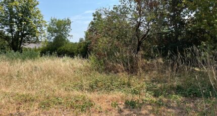 Albi Maison neuve - 2583555-3177annonce120260716z6pxS.jpeg Oc Résidences