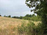 Maison à construire à Puygouzon (81990) 2583676-3177annonce120260716vvnRN.jpeg Oc Résidences