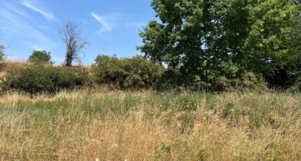 Albi Maison neuve - 2583574-3177annonce120260716bTh8B.jpeg Oc Résidences