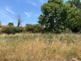 Maison à construire à Albi (81000) 2583579-3177annonce120260716bTh8B.jpeg Oc Résidences