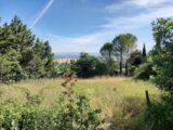 Terrain à bâtir à Mireval-Lauragais (11400) 2638771-3185annonce120260918W0h9x.jpeg Oc Résidences