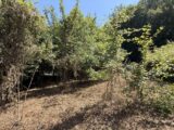Terrain à bâtir à Sorèze (81540) 2640359-3185annonce320260919l9sTW.jpeg Oc Résidences