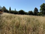 Maison à construire à Castres (81100) 2641186-5649annonce120260529Mc3SO.jpeg Oc Résidences