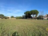 Maison à construire à Marssac-sur-Tarn (81150) 2643937-3177annonce1202609226iFfA.jpeg Oc Résidences